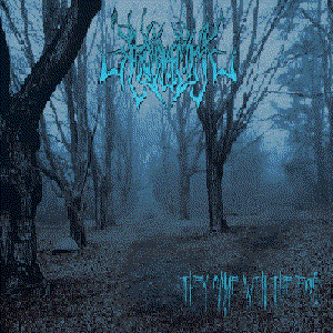 Image for 'They Came With The Fog (DEMO)'