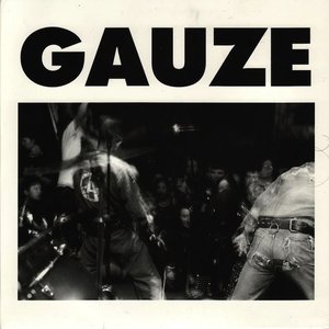 Image for 'Gauze'