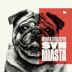 'Syn Miasta'の画像