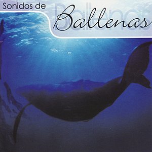 Image for 'Sonidos de Ballenas'