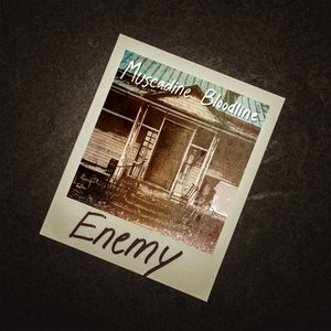 Image for 'Enemy'