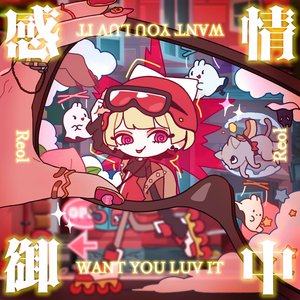 Image for '感情御中 - WANT U LUV IT'