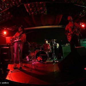 “Il teatro delle ombre”的封面