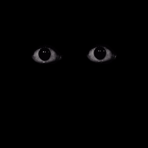 Wheresluu
