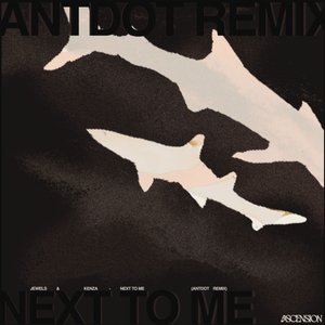 Image for 'Next To Me (Antdot Remix)'