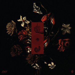 Image for 'Completud'