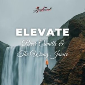 Image for 'Elevate'