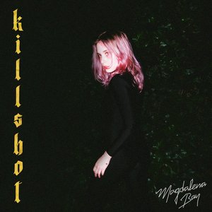 Image for 'Killshot'