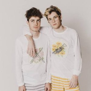 Immagine per 'Burns Twins'