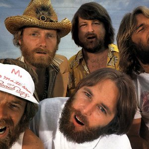 Изображение для 'The Beach Boys'