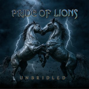Image for 'Unbridled'