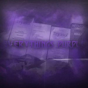 Image for 'Everythings Purple'