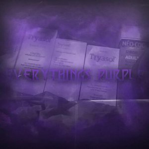 “Everythings Purple”的封面
