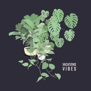 “Vibes”的封面