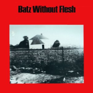 Image for 'Batz Without Flesh'