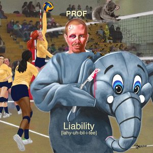 Image for 'Liability'