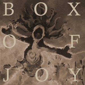 Image pour 'Box Of Joy'