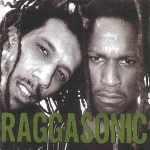 Image pour 'Raggasonic'