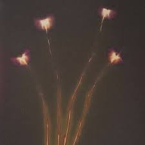 “Bad Luck Is Two Yellow Flowers”的封面
