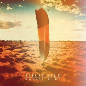 Image for 'Spirit Bird'