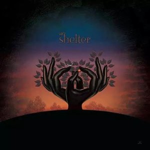 Image for 'Shelter'