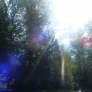 Immagine per 'fading light'