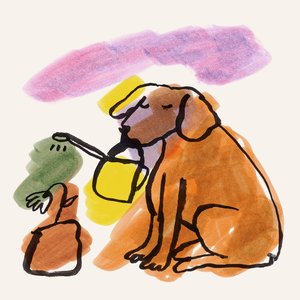 “Man’s Best Friend”的封面