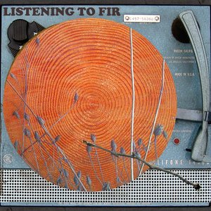 Image for 'Fir'