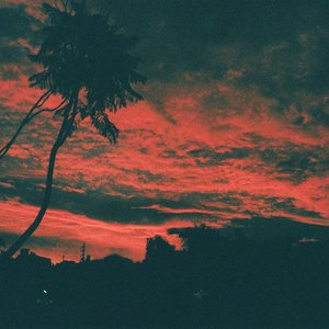 Imagem de 'Aliso'