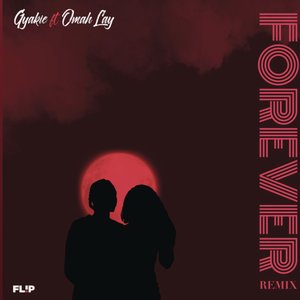 Image for 'Forever (Remix)'