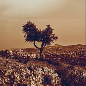 “Cadejos + Those Who Pass Between Fleeting Words (Remastered 2025)”的封面