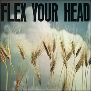 “Flex Your Head”的封面