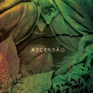 “Ascensão”的封面