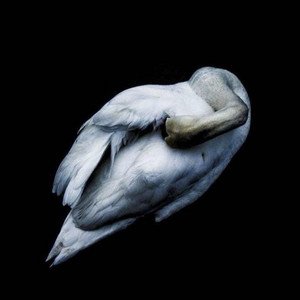 'Saudade de Ser, Vontade de Estar'の画像