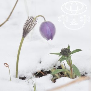 Image for 'Холодные Врата'