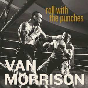 Image for 'Roll With the Punches'