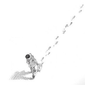Image for 'snowflakes'