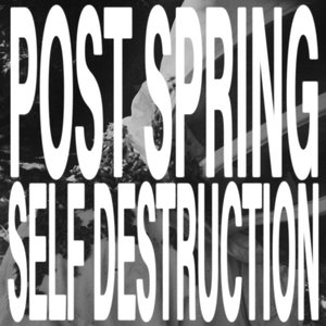 Image for 'post spring self destruction'