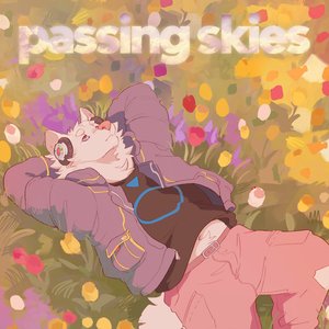 Image for 'Passing Skies'