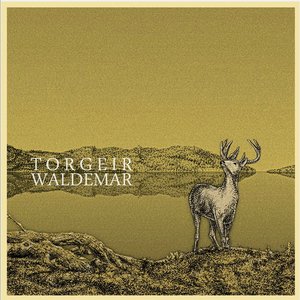 Image for 'Torgeir Waldemar'