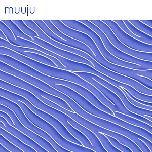 Image for 'bedforms'