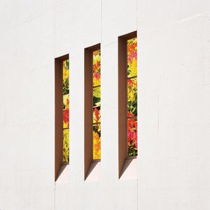 'Looking For Knives'の画像