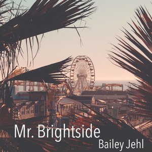 “Mr. Brightside”的封面