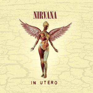 “In Utero (20th Anniversary Remaster)”的封面