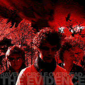 Image for 'The Evidence'