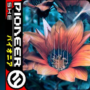 Zdjęcia dla 'Pioneer'