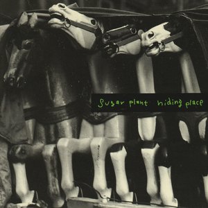 Image for 'Hiding Place'