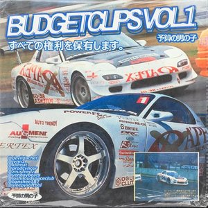 Image for 'BUDGET CLIPS'