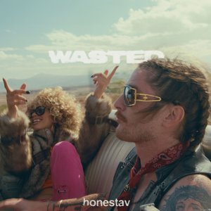 “Wasted”的封面