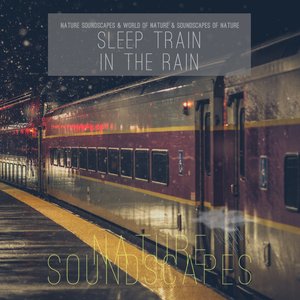Bild für 'Sleep Train in the Rain'